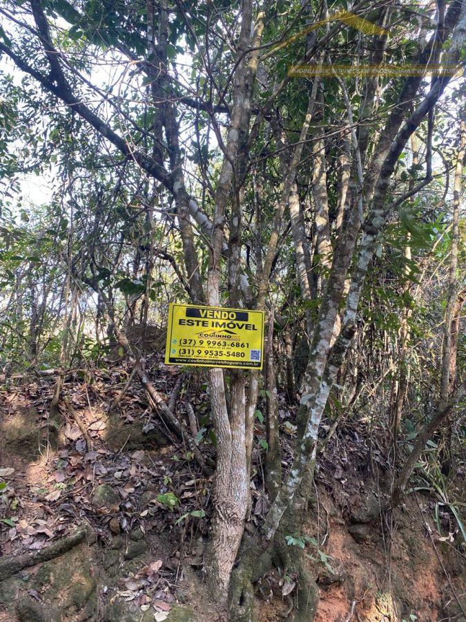 WhatsApp Image 2025-09-01 at 10.17.05.jpeg